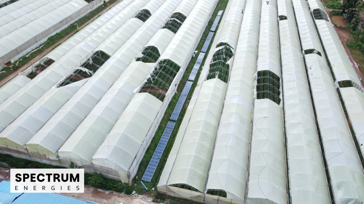 For Businesses & Industries